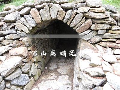 佛山离婚抚养费标准多少 佛山离婚抚养费标准多少