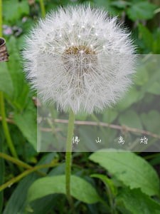 佛山离婚法律咨询机构