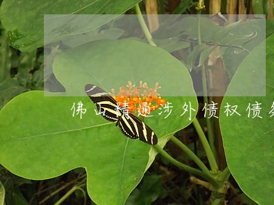 佛山精通涉外债权债务律师推荐 佛山精通涉外债权债务律师推荐