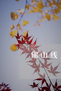 佛山线上法律顾问网站 佛山线上法律顾问网站