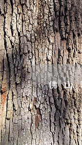 佛山网络借贷纠纷律师 佛山网络借贷纠纷律师