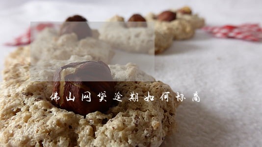 佛山网贷逾期如何协商