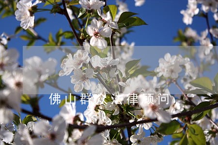 佛山群众法律顾问 佛山群众法律顾问