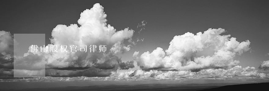 佛山股权官司律师 佛山股权官司律师