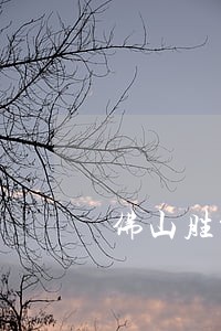 佛山胜诉率高的刑事大案要案律师 佛山胜诉率高的刑事大案要案律师