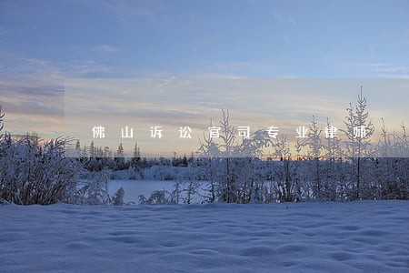 佛山诉讼官司专业律师 佛山诉讼官司专业律师