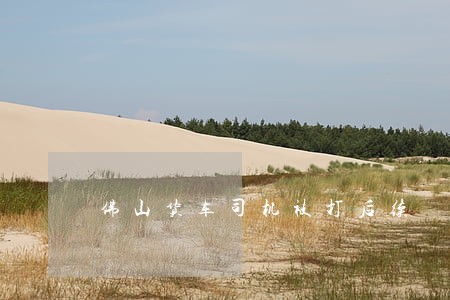 佛山货车司机被打后续 佛山货车司机被打后续
