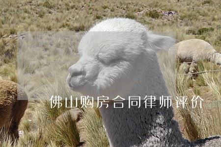 佛山购房合同律师评价 佛山购房合同律师评价