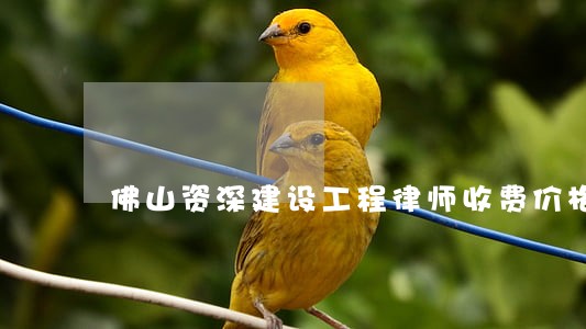 佛山资深建设工程律师收费价格