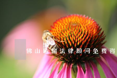 佛山运输法律顾问免费咨询 佛山运输法律顾问免费咨询