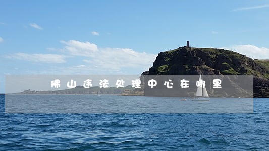 佛山违法处理中心在哪里 佛山违法处理中心在哪里
