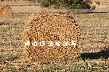 佛山违法电动车 佛山违法电动车