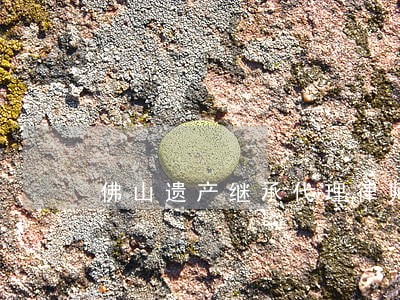 佛山遗产继承代理律师 佛山遗产继承代理律师