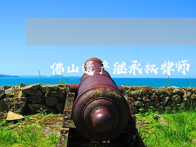 佛山遗产继承权律师 佛山遗产继承权律师