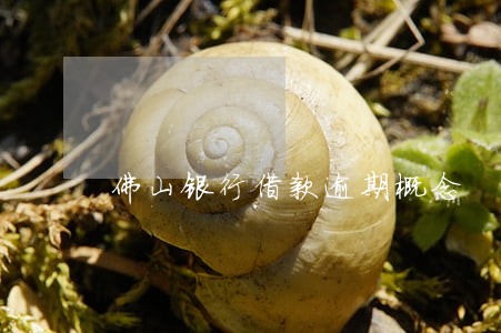 佛山银行借款逾期概念