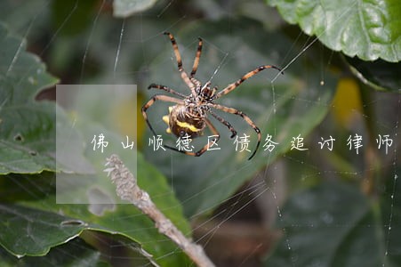 佛山顺德区债务追讨律师团 佛山顺德区债务追讨律师团