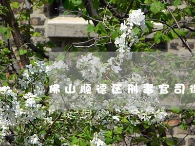 佛山顺德区刑事官司律师律所
