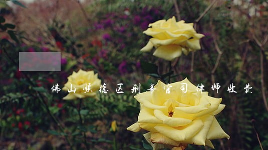 佛山顺德区刑事官司律师收费 佛山顺德区刑事官司律师收费