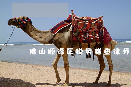 佛山顺德区税务稽查律师收费标准 佛山顺德区税务稽查律师收费标准