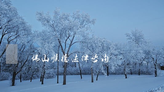 佛山顺德法律咨询 佛山顺德法律咨询