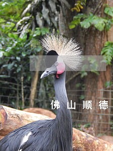 佛山顺德法律援助中心 佛山顺德法律援助中心