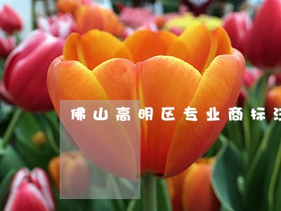 佛山高明区专业商标注册律师