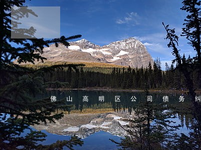 佛山高明区公司债务纠纷律师 佛山高明区公司债务纠纷律师