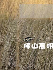 佛山高明区好的合同审核律师