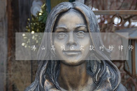 佛山高明区欠款纠纷律师多少钱 佛山高明区欠款纠纷律师多少钱