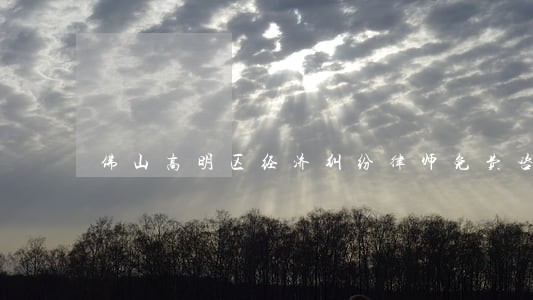 佛山高明区经济纠纷律师免费咨询 佛山高明区经济纠纷律师免费咨询