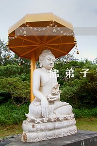 佛弟子可以举报违法的人吗 佛弟子可以举报违法的人吗