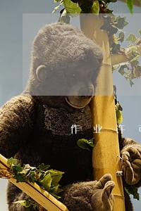 作业许可证有什么法规依据 作业许可证有什么法规依据