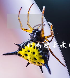 作为股东收到法院传票什么意思 作为股东收到法院传票什么意思