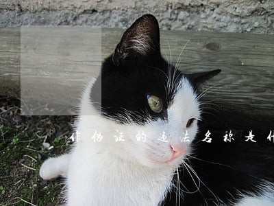 作伪证的违法名称是什么