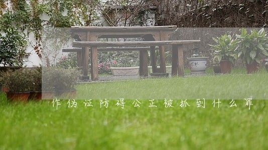 作伪证防碍公正被抓到什么罪 作伪证防碍公正被抓到什么罪