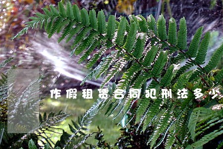 作假租赁合同犯刑法多少条 作假租赁合同犯刑法多少条