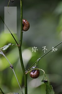 你不知道的那些法律事儿 你不知道的那些法律事儿