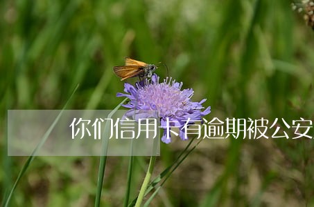 你们信用卡有逾期被公安局抓的吗