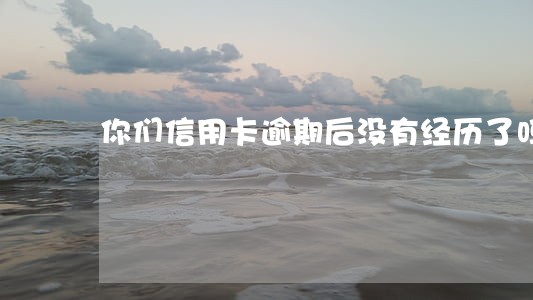 你们信用卡逾期后没有经历了吗 你们信用卡逾期后没有经历了吗