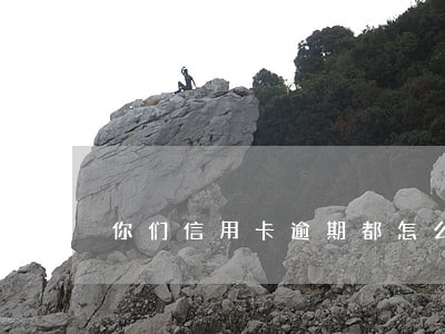 你们信用卡逾期都怎么处理的