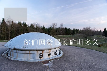 你们网贷最长逾期多久 你们网贷最长逾期多久