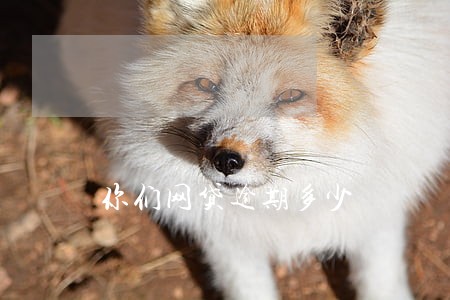 你们网贷逾期多少 你们网贷逾期多少