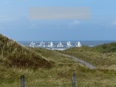 你们违法装逼 你们违法装逼