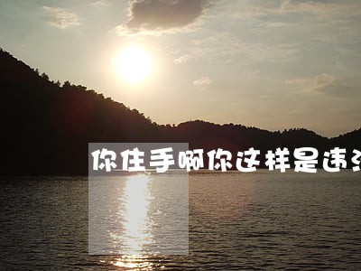 你住手啊你这样是违法的 你住手啊你这样是违法的