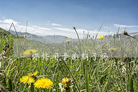 你信用卡逾期了吗 你信用卡逾期了吗