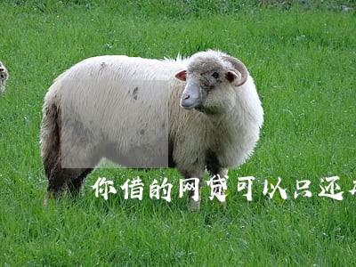 你借的网贷可以只还本金吗 你借的网贷可以只还本金吗