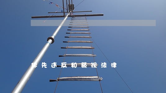 你先违反和藐视法律 你先违反和藐视法律