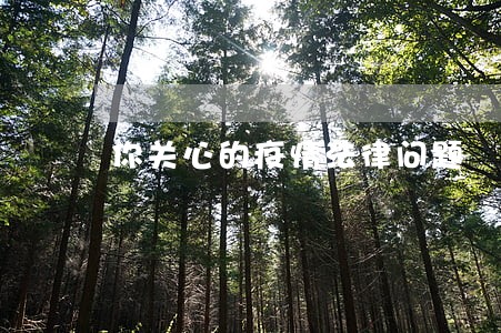 你关心的疫情法律问题 你关心的疫情法律问题