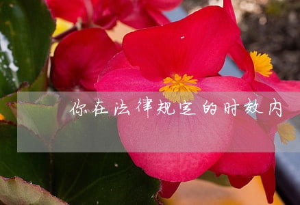 你在法律规定的时效内 你在法律规定的时效内