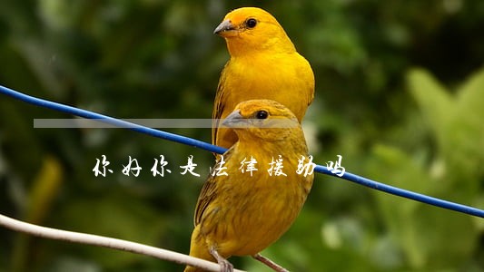 你好你是法律援助吗